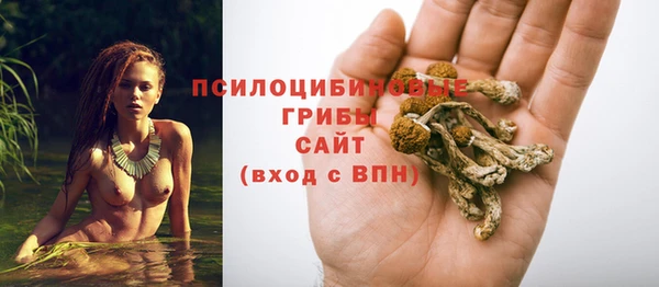 тгк Нея