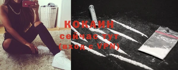 тгк Нея