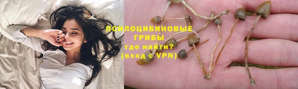 бошки Нефтегорск