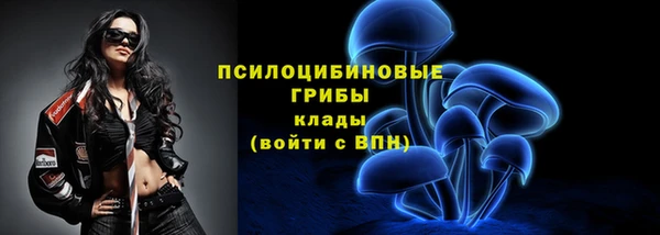 бошки Нефтегорск