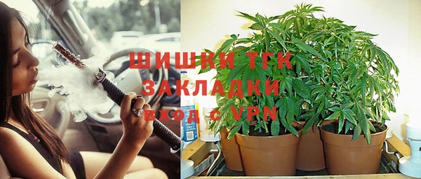 прущие крисы Нефтекумск