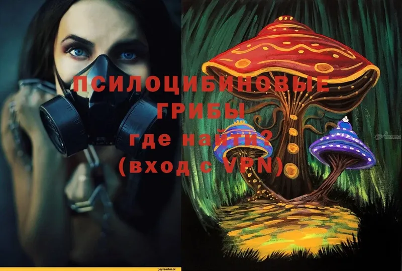 Псилоцибиновые грибы MAGIC MUSHROOMS  кракен ссылки  Багратионовск 