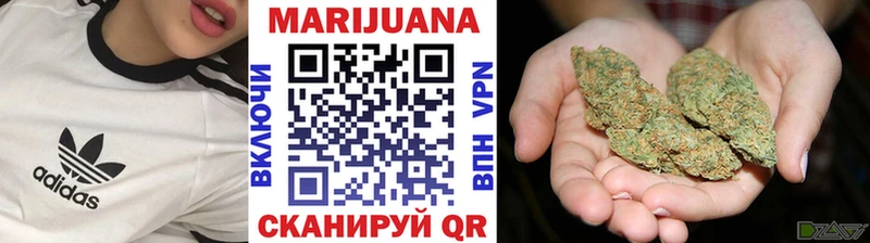 shop наркотические препараты  Багратионовск  Бошки марихуана THC 21% 